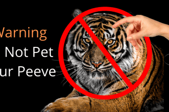 Does your right to hold onto a pet peeve take precedent over being accountable for your reactions and heart responses toward those who tick you off?