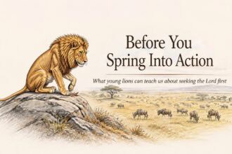 Light sketch of a young lion, looking a little scruffy, looking down on wildebeast in a valley. Text Overlay : Before You Spring into Action: What young lions can teach us about seeking the Lord first