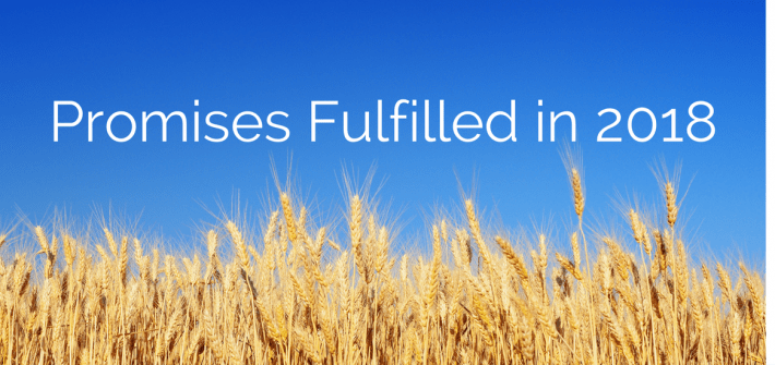 God promises His faithful ones Your trust, faith, and intercession will yield a mighty harvest. Stay steadfast.