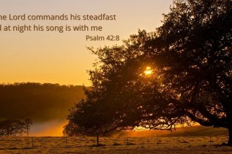 I purpose to focus on my Beloved’s voice until His voice drowns out all other voices but His own. I choose to be overwhelmed by Him