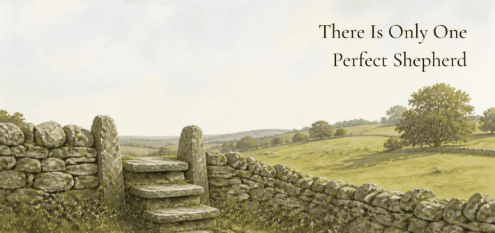 Pastoral coloured sketch of an old stone fence with a stile made up of hand-hewn stones leading to a gentle sloped pasture. Text overlay: There is only one perfect shepherd AI-generated artwork, edited in Canva.