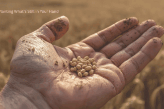 close-up of wheat seeds in a farmer's hand with sunlight in the background, symbolizing hope and new beginnings
