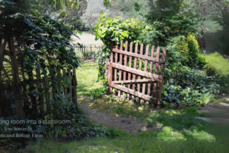 A wild garden with an open gate with an inviting glimpse of sunlight open spaces just beyond the gate.