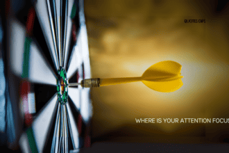 Where is Your Attention Focused? When we focus on one thing everything else falls into place.