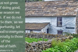Ploughing through discouragement you may unearth what you think are obstacles that are in fact building stones.