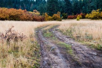 It's Exhilarating to Divert From a Beaten Path