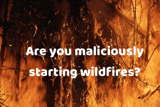 Too many organizations and individuals who feel it is their so-called God-given duty to sniff out ‘strange fire’ are doing nothing more than setting wildfires of slander with their pens.